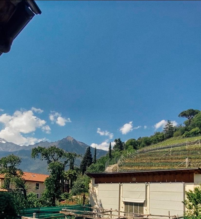 Franz Haus Apartments Merano Dış mekan fotoğraf